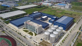 天府菜油 从四川沃土到淘宝平台，打造国内一流粮油品牌的品牌视觉之旅